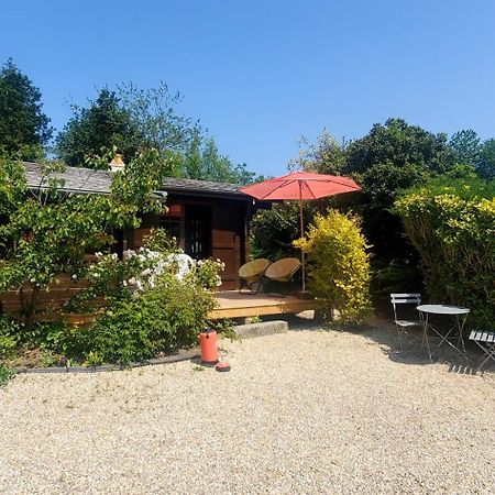 Chalet En Pleine Nature Au Bord D'Un Etang Lanvallay Εξωτερικό φωτογραφία