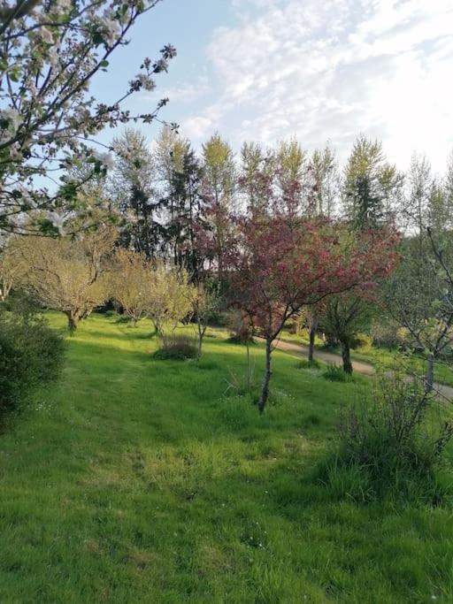 Chalet En Pleine Nature Au Bord D'Un Etang Lanvallay Εξωτερικό φωτογραφία