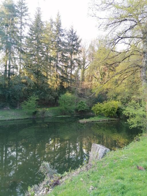Chalet En Pleine Nature Au Bord D'Un Etang Lanvallay Εξωτερικό φωτογραφία